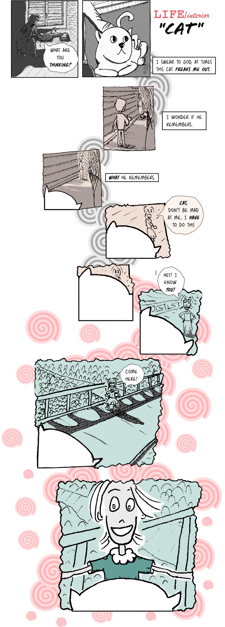 LIFE/interior: Cat (4)