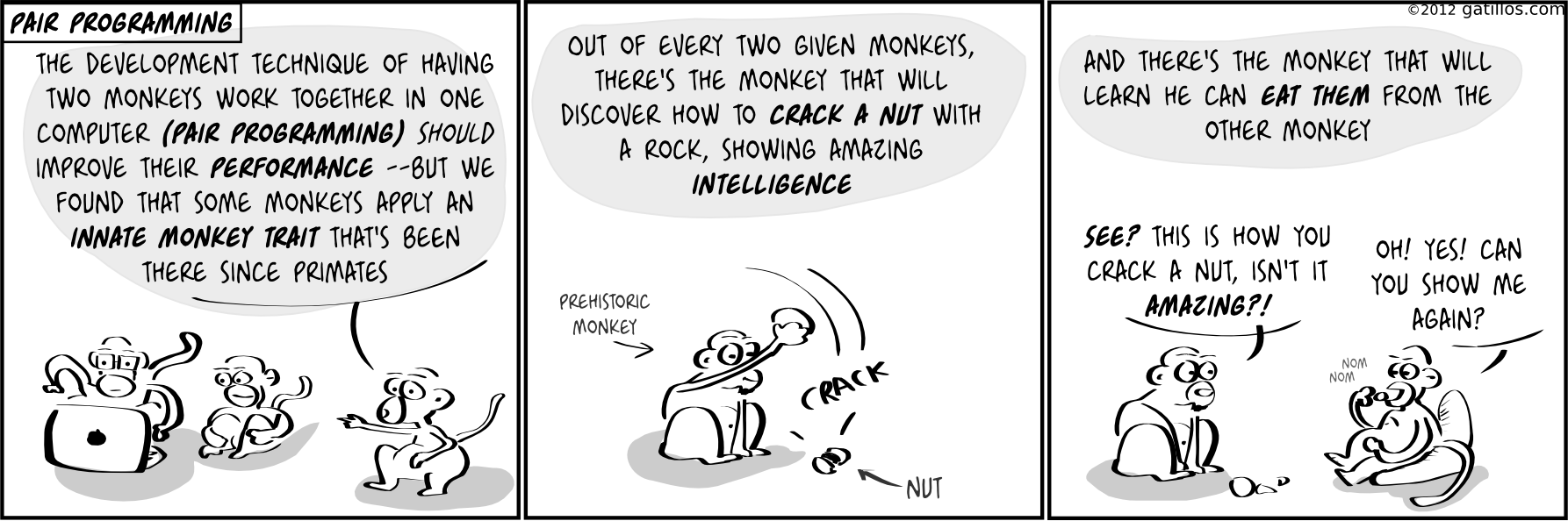 Paul the innovator (27): Pair programming