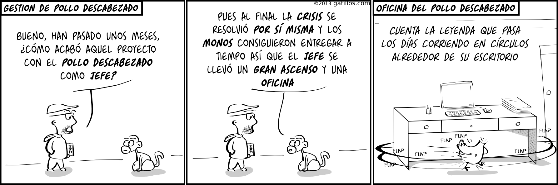 Paul the innovator (61): Gestión de pollo descabezado